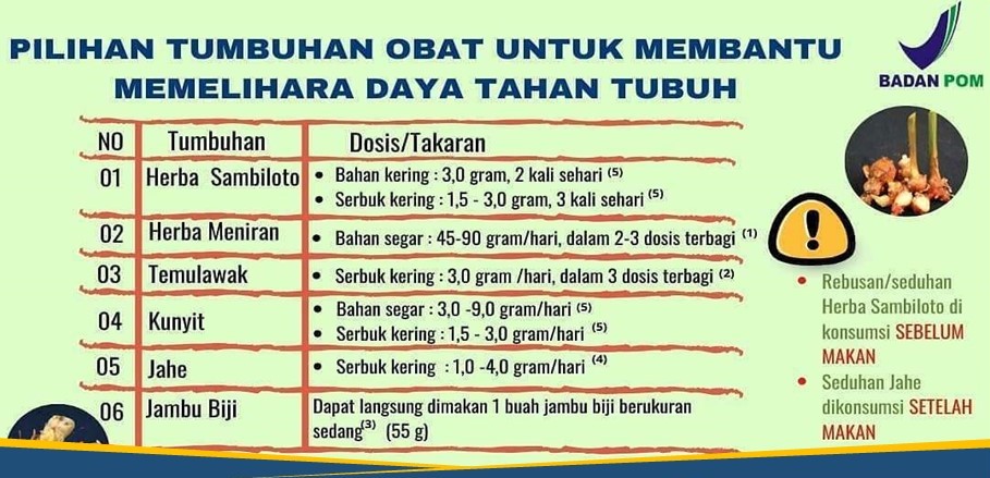 Tumbuhan Obat Untuk Memelihara Daya Tahan Tubuh Saat Pandemi COVID-19